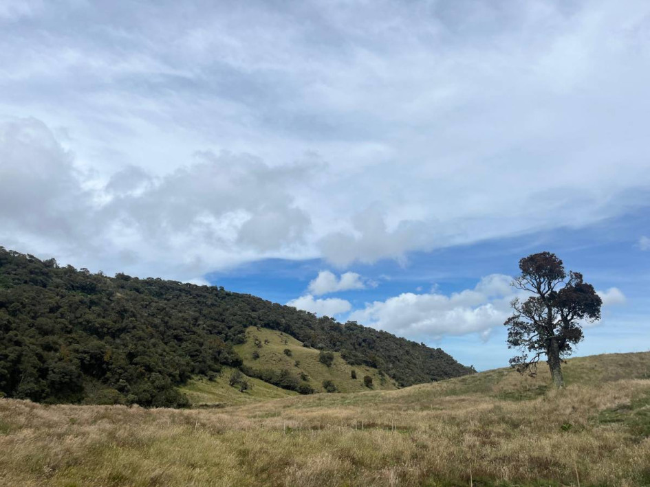 El programa tiene como objetivo reconocer proyectos que den respuesta a los retos ambientales locales. 