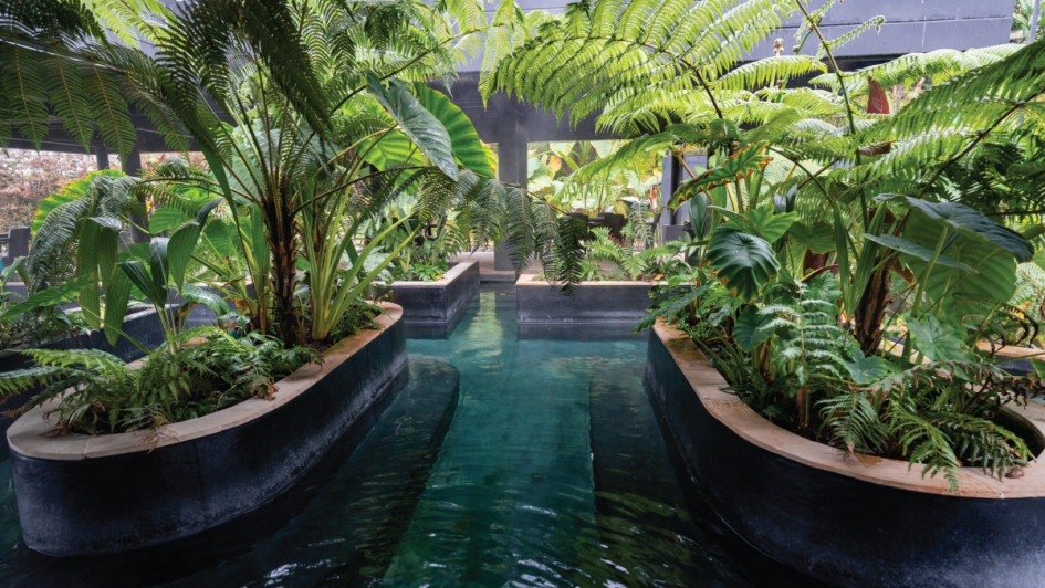 Así les fue a cuatro empresas dedicadas a la hotelería en Caldas, según la Superintendencia de Sociedades. Sus ingresos crecieron en $3 mil 131 millones frente al año anterior.