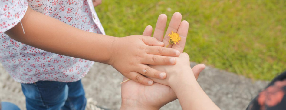  Las familias que ya han hecho parte del programa y quieran volver a participar simplemente les consultan sus antecedentes para verificar que no estén reportadas.