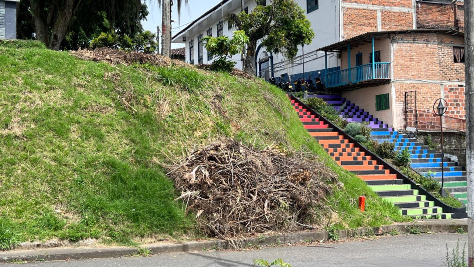 Así quedaron los residuos de la poda en el parque Arango Zea.
