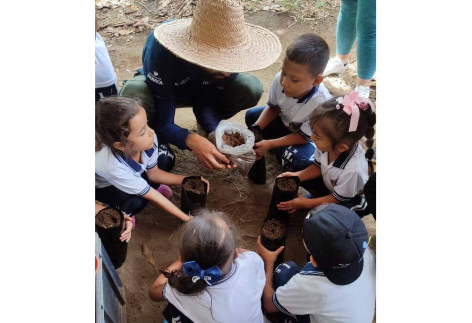Educan comunidades mediante experiencias prácticas en agroecología y restauración de ecosistemas.