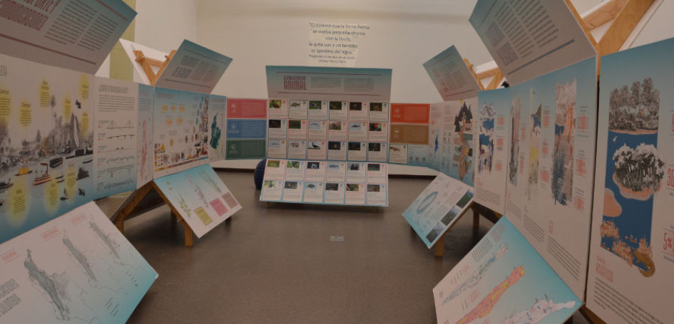 Fotos | Freddy Arango | LA PATRIA Al recorrer la exposición El Magdalena, una cuenca posible, el visitante no solo conocerá más sobre este afluente, sino que también podrá escucharlo. 