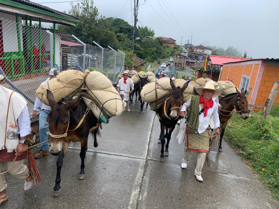 Los arrieros se tomaron las calles de Neira para llegar a Pueblo Rico donde fueron recibidas como.las protagonistas.