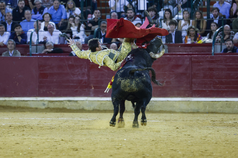 El diestro Daniel Luque sufre una cogida durante el festejo taurino de la Feria del Pilar, este sábado en Zaragoza (España).