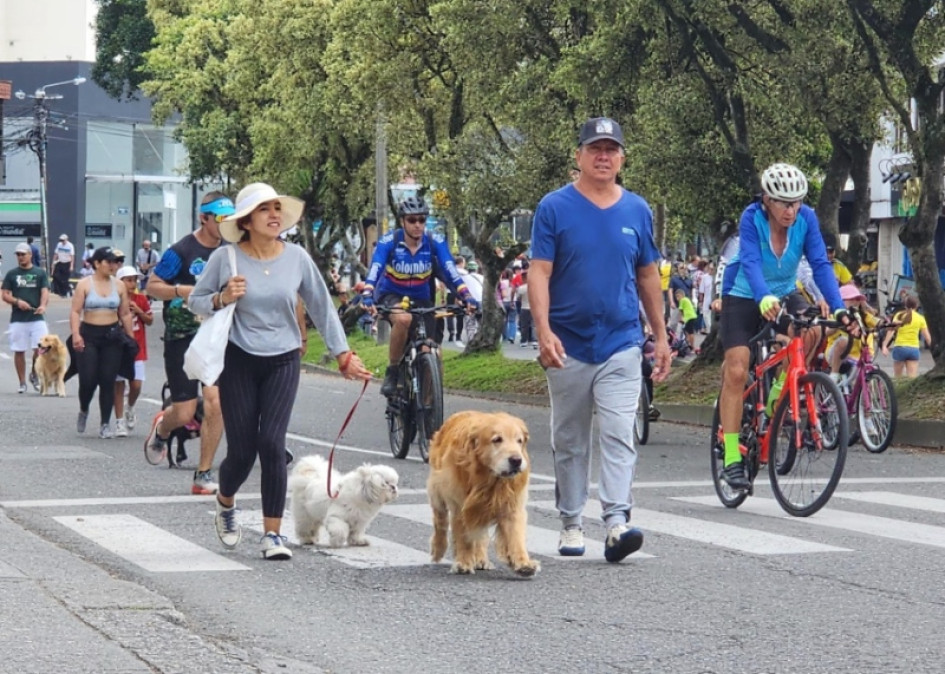 Alcaldía de Manizales