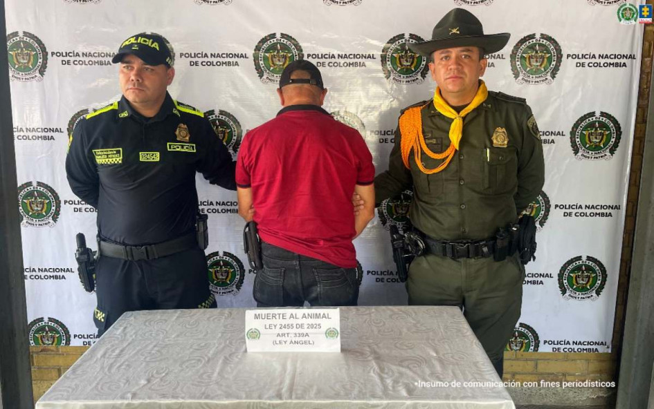 Captura de Jarol Alberto Cuellar Arias en el caso del canino llamado 'Niño'. 