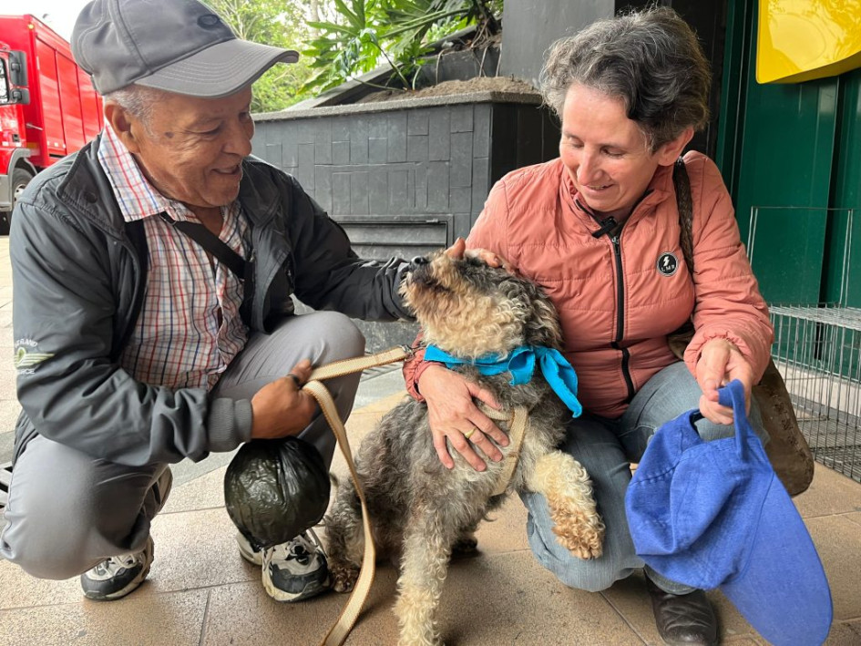 Mechudo se reencontró con su familia en una jornada de adopción de la UPA en Manizales, luego de tres meses de haberse perdido.