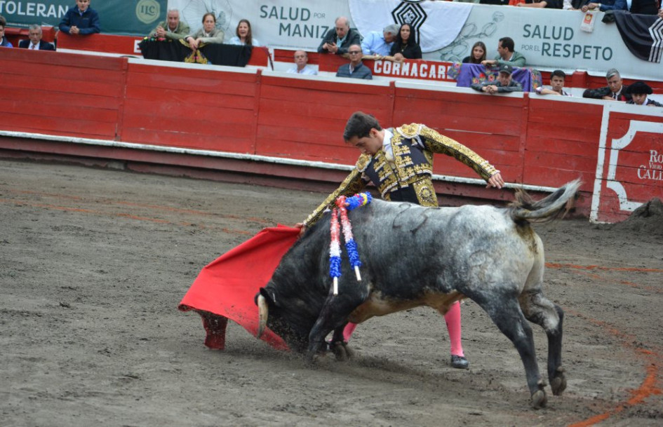 Derechazo de Sergio Moreno al novillo Cardenito de la ganadería de Salento. 