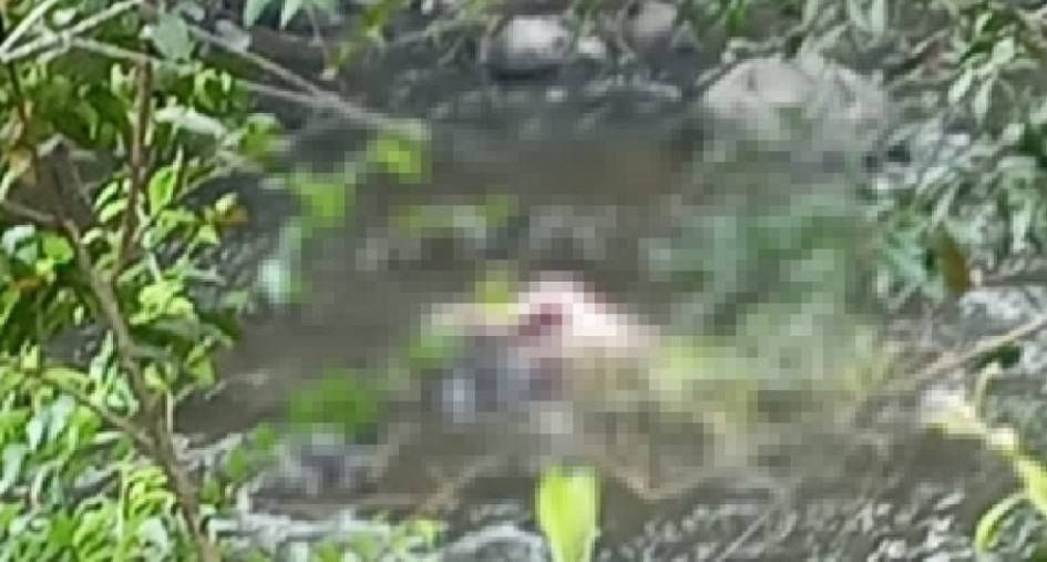 El cadáver fue hallado en el río Otún en la mañana del miércoles 1 de octubre en el sector Las Pavas de Pereira 