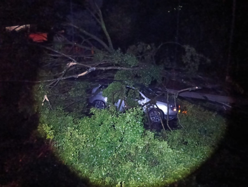 Dos carros quedaron atrapados entre árboles, postes y cables eléctricos en Pereira debido a un fuerte vendaval que cayó en la ciudad 