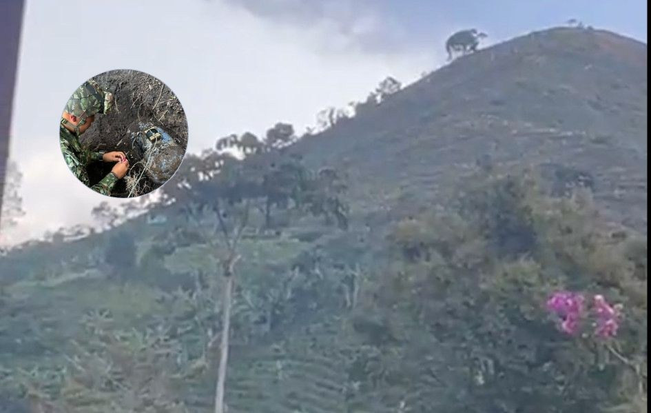 El hallazgo fue posible gracias a información entregada por una fuente humana​​​​​​​