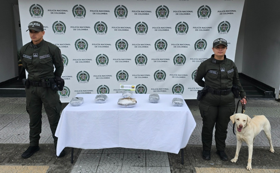 Axel es reconocido por su olfato para detectar sustancias ilícitas en empresas de encomiendas y en la Terminal de Transportes de Manizales.