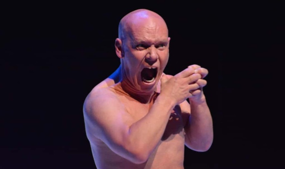 El alimento de las moscas