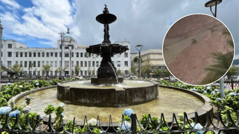 Ciudadanos reportaron presencia de roedores en los parques Fundadores y Ernesto Gutiérrez.