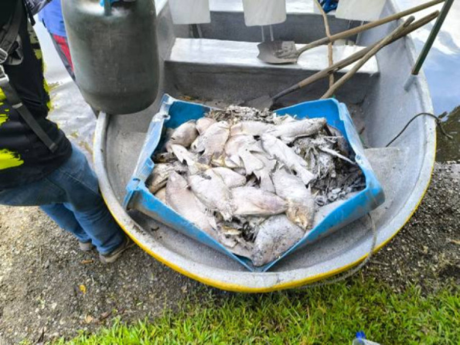 Miles de peces muertos en la Laguna de San Diego causaron el cierre de este sitio turístico por emergencia ambiental.