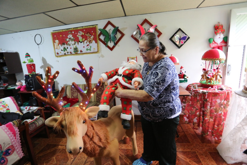 Algunos de sus diferentes diseños.
