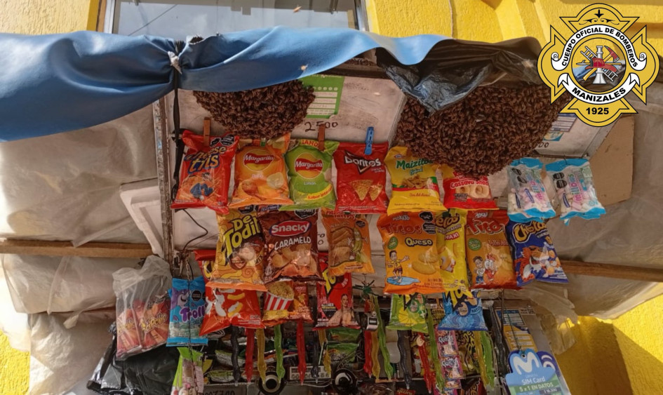 El enjambre de abejas se posó sobre un carrito de dulces ubicado en la carrera 23 con calle 19.