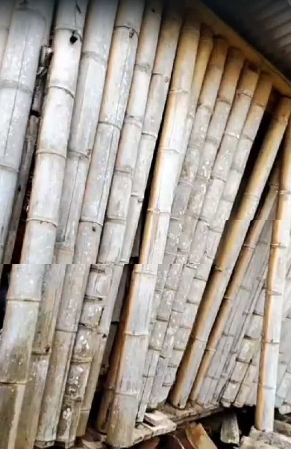 colpaso vivienda Anserma