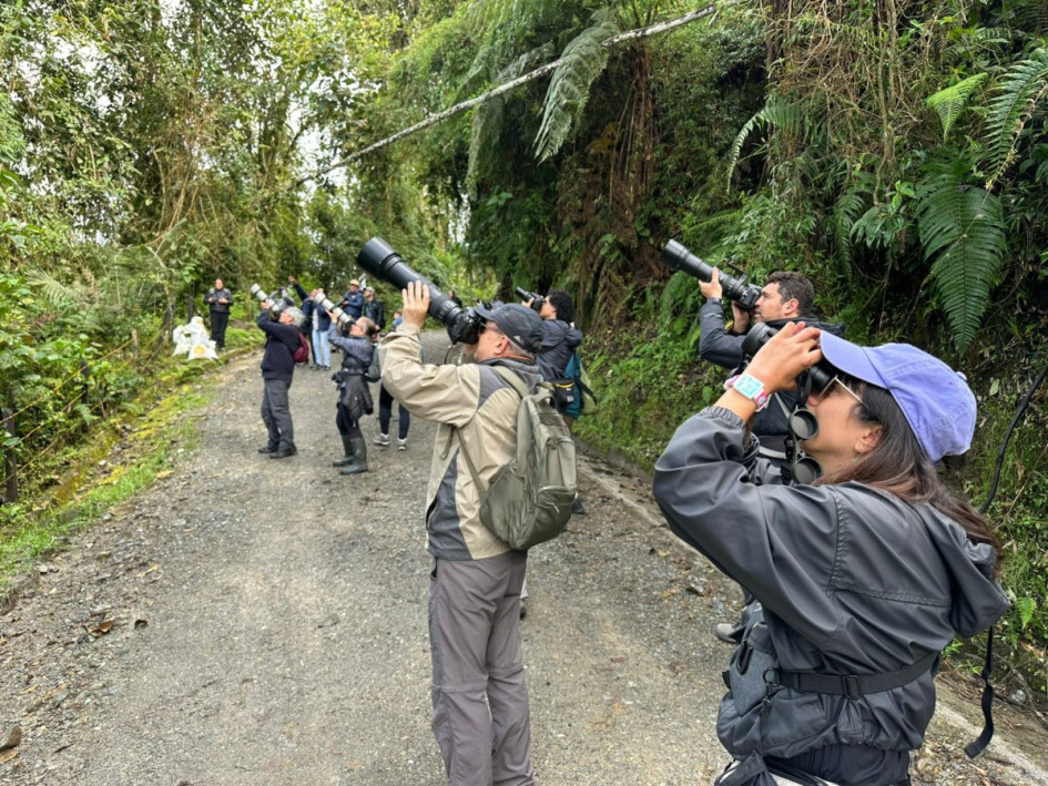 El grupo de participantes en la salida de campo a la Reserva Río Blanco, en Manizales.