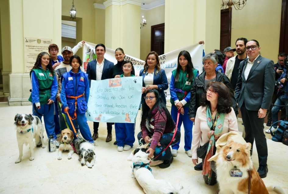 La norma le otorga al Ministerio de Educación un plazo de seis (6) meses para expedir los lineamientos curriculares del nuevo enfoque.