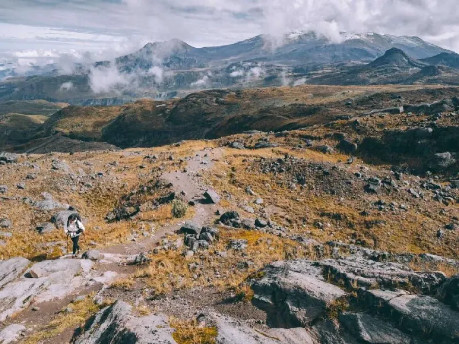 Un ecosistema en riesgo vital para el agua en el Eje Cafetero