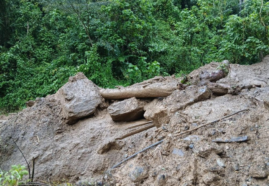 Según la jefe de Gestión del Riesgo de Caldas, Paula Marcela Villamil Rendón, los municipios de Neira, Aranzazu, Pácora y Norcasia han reportado eventos