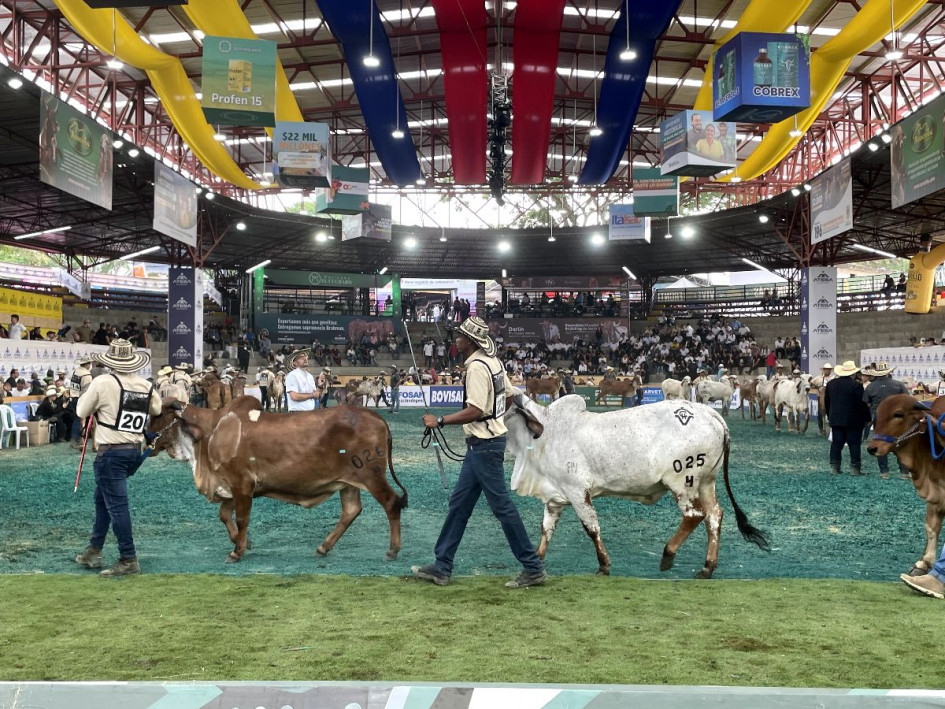 El gobernador también destacó que la feria generará una irrigación económica superior a los $6.000 millones y la hotelería copada mínimo al 80 % durante el evento