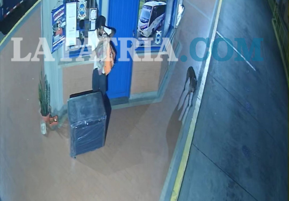 Cámaras de seguridad grabaron a desconocidos provocando daños en los negocios.