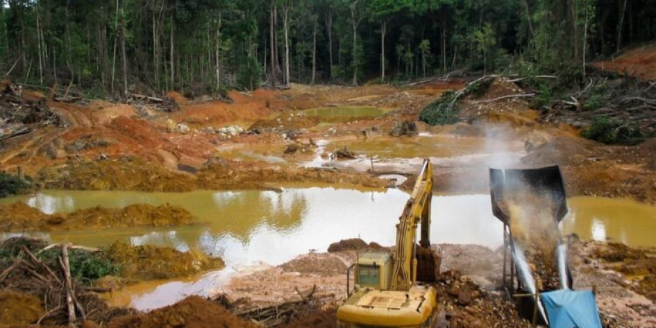 En el operativo, liderado por la Interpol y Brasil, también participaron Bolivia, Colombia, Guyana, Perú y Surinam.