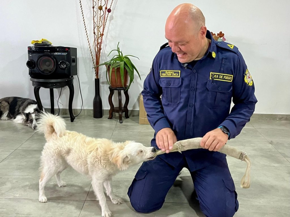 Lila, perrita ciega adoptada en Manizales, se adaptó rápidamente a su nuevo hogar.