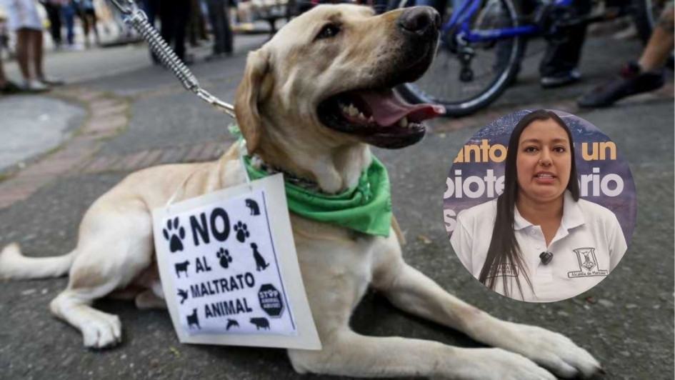 La Personería de Manizales abrió una investigación disciplinaria contra la secretaria de Medio Ambiente, Jessica Quiroz, por presunto incumplimiento en adopción de la RAMA.