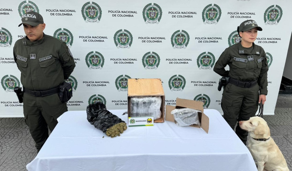 can encontro alijo de marihuana.