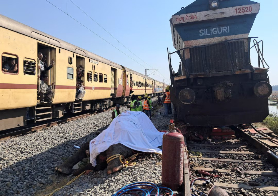 La red ferroviaria Northeast Frontier Railway informó en un comunicado de que el incidente ocurrió en un tramo que no era un corredor de elefantes designado.