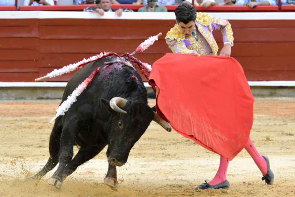El torero español Marco Pérez lidia el toro 'Sombrerito' de la ganadería de Juan Bernardo Caicedo, este viernes en Cali (Colombia).
