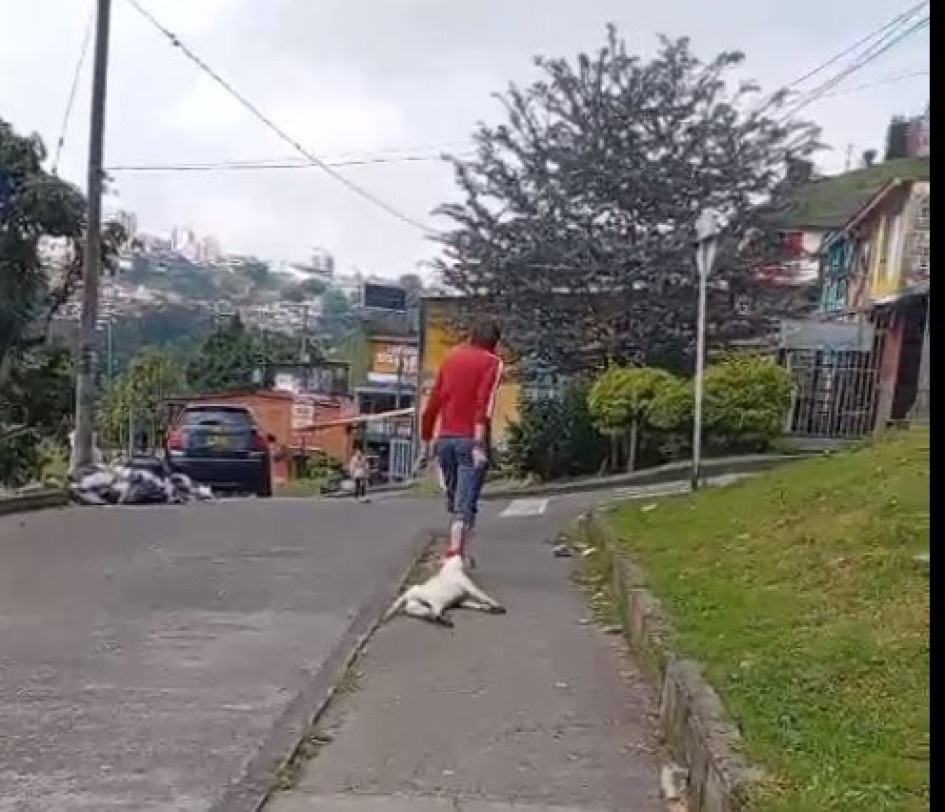 El sujeto arrastró su perro muerto por las calles.