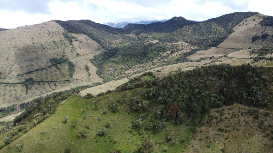 La Alcaldía de Manizales lidera la compra de predios para conservación en la parte alta de la reserva Río Blanco,