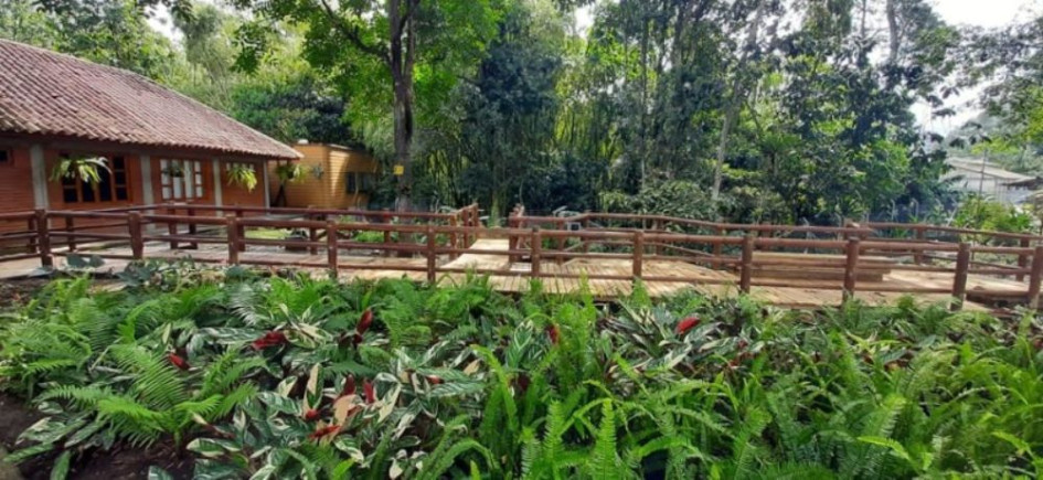 Con esta ampliación, la UTP alcanza 35 hectáreas de bosque protegido dentro de un campus de 59 hectáreas