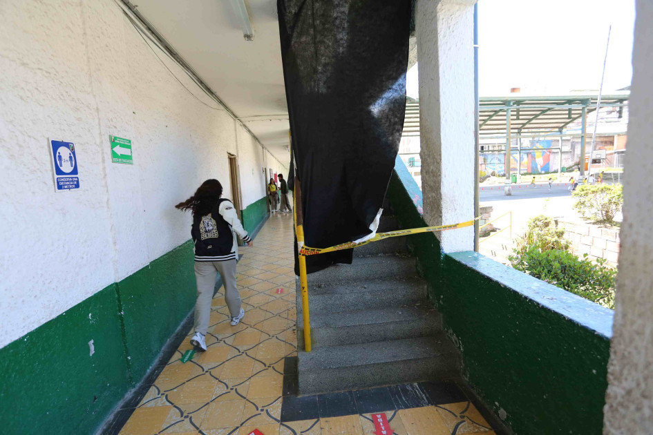 La presencia de palomas en colegio causaron problemas de salubridad y de infraestructura.