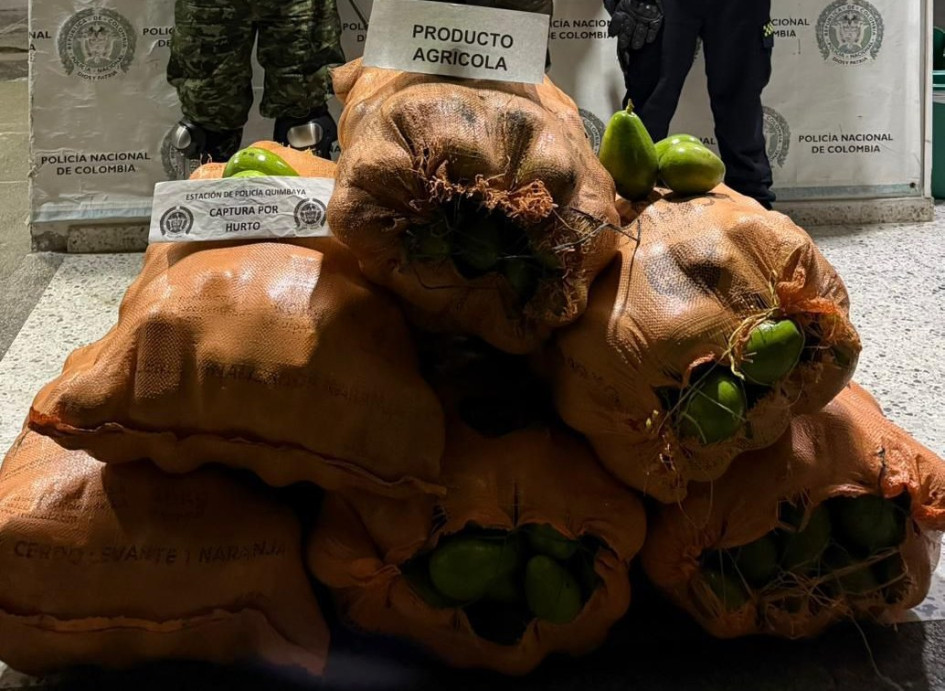 Fotos| Policía| LA PATRIA  En vía pública, en coordinación con el Ejercito Nacional, aprehendieron a un hombre de 31 años de edad, quien habría hurtado seis bultos de aguacate de una finca.