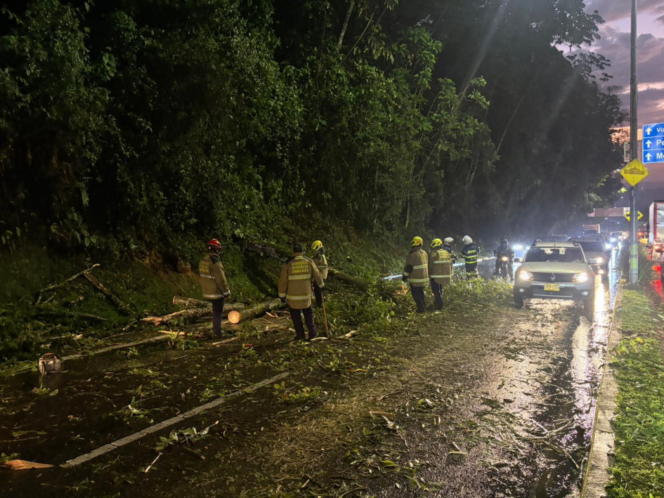 Un árbol cayó en la avenida Centenario de Manizales y restringió la movilidad durante unos minutos. Autoridades monitorean las estaciones hidrometeorológicas.