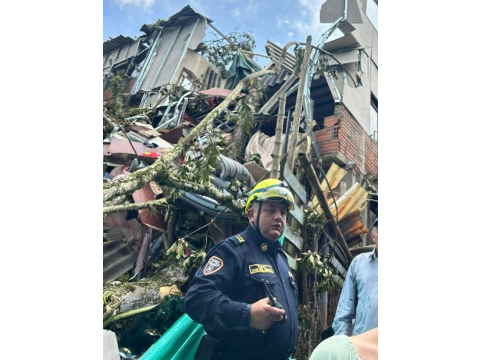 El árbol no se precipitó por las lluvias de la jornada, lo estaban cortando.