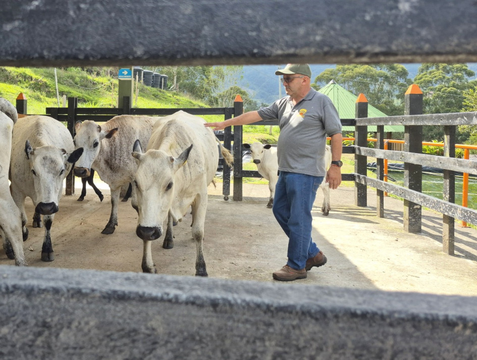 El docente Andrés Franco Franco orienta a estudiantes y productores en el manejo de razas criollas como el blanco orejinegro en la Granja San José, centro de transferencia tecnológica del CINOC que impulsa la formación, la investigación y el desarrollo rural en el Oriente de Caldas.