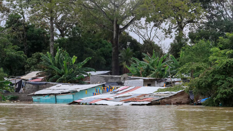 “Ni va a haber casa a casa, ni va a haber puntos de recolección en otras partes”,