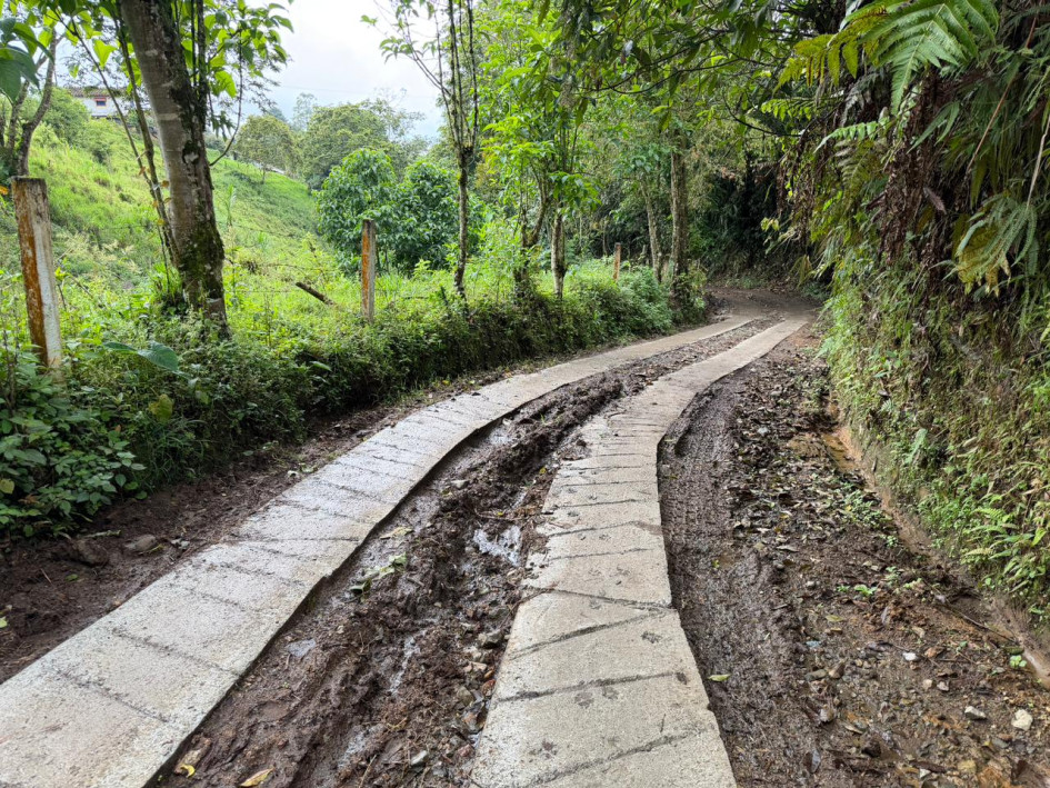 Habitantes de tres veredas de un municipio turístico del Eje Cafetero construyen placa huella con materiales entregados por la Gobernación y acompañamiento técnico.