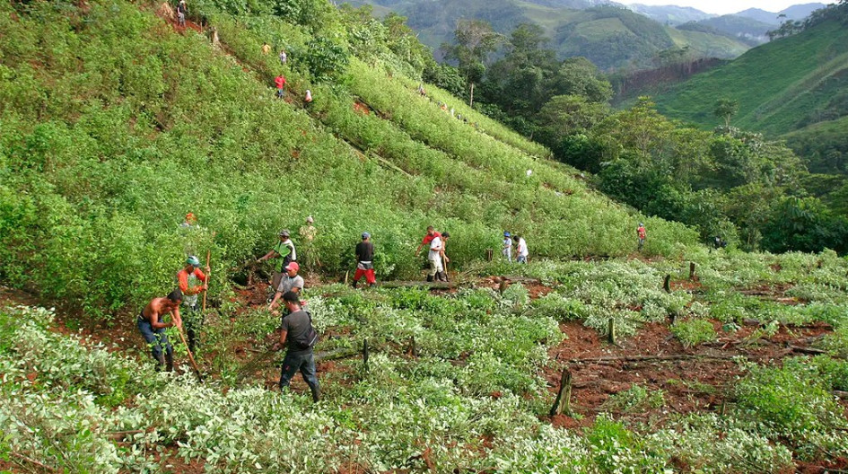 El Gobierno de Colombia afirma que sí está cumpliendo con la lucha antidrogas en la frontera con Ecuador.