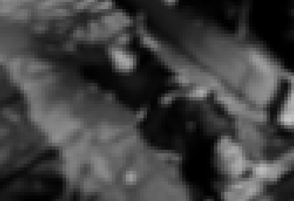 Alias coco fue asesinado en Los Sauces