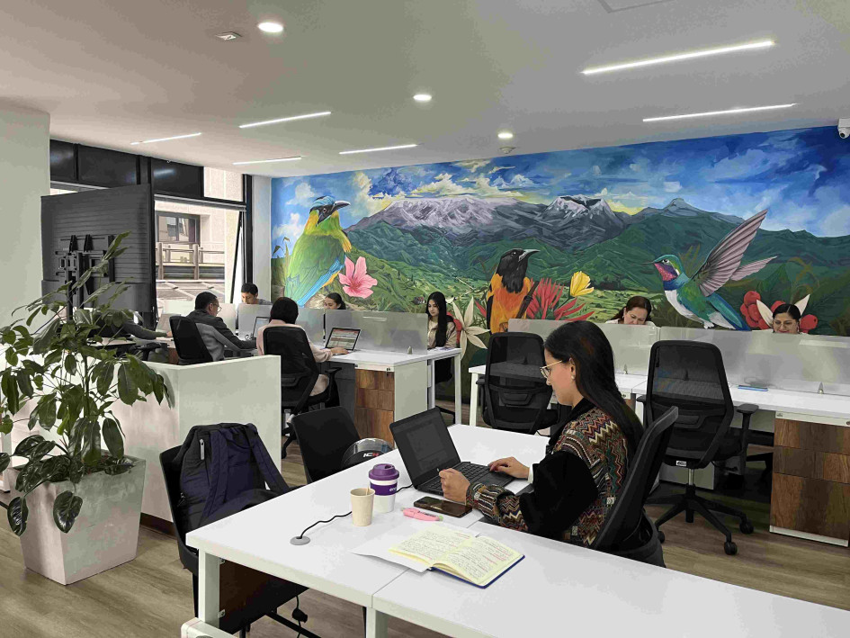  Elecciones 2026: Conozca los nuevos puntos de atención del CNE en el Eje Cafetero