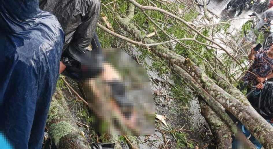 Un hombre fue la víctima fatal, cuando pasaba por el kilómetro 8, sector talleres de Magnetrón, en la vía Pereira - Cerritos.