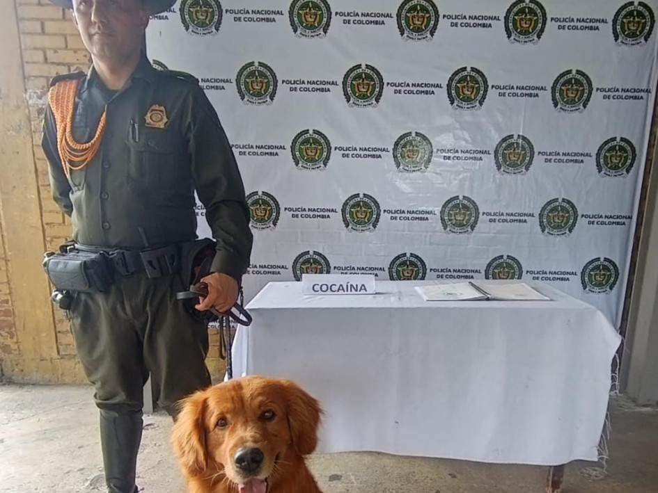 l canino “Max” detectó cocaína oculta en una revista que iba a ser enviada a Madrid.