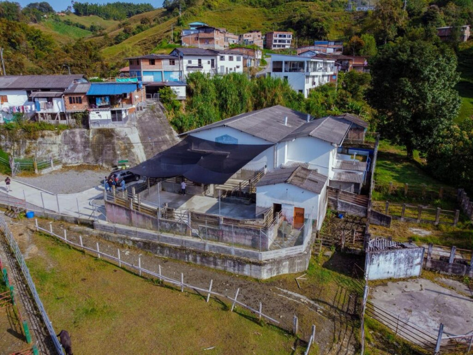 El Invima habilitó la Planta de Beneficio Animal de Aranzazu, que estuvo cerrada desde el 2022. Con esta reapertura, ya son siete los mataderos operativos en Caldas. Aún hay ocho con intenciones de reactivación, pero inactivos.